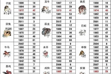 61年次屬什麼生肖|1961 年出生属什么生肖